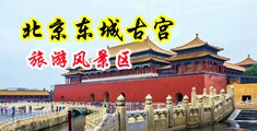美女没穿衣服的淫秽写真中国北京-东城古宫旅游风景区